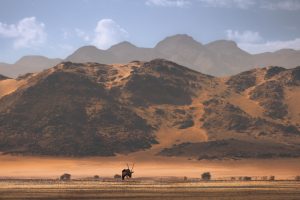 Sossusvlei, Namib desert, Namibië