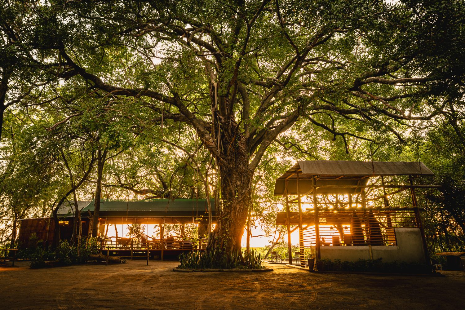 Askiesbos Samochima Bush Camp